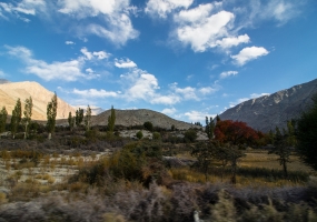 Package Image